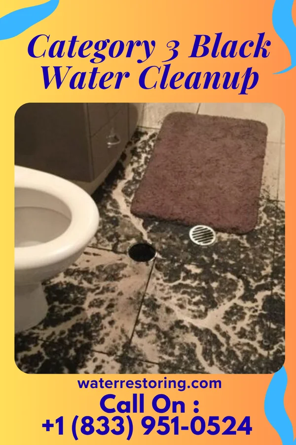 Category 3 Black Water Cleanup in Springbrook, IA