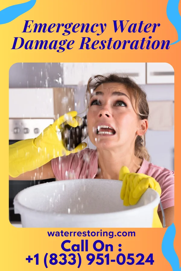 Emergency Water Damage Restoration in Springbrook, IA