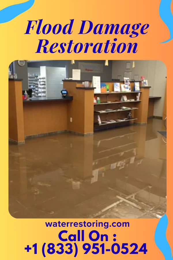 Flood Damage Restoration in Springbrook, IA
