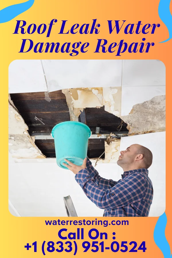 Roof Leak Water Damage Repair in Springbrook, IA
