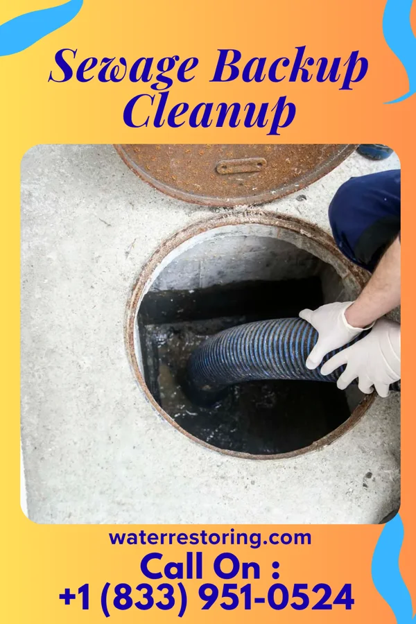 Sewage Backup Cleanup in Springbrook, IA